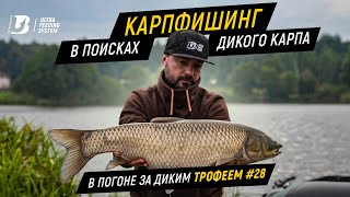 Карпфишинг. В поисках дикого карпа. В погоне за диким трофеем #28.