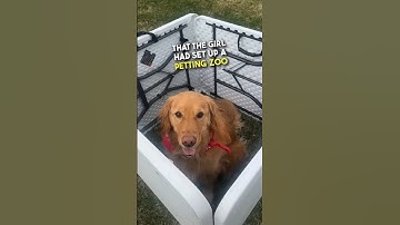 She set up a petting zoo with her dog 😂😂 #shorts