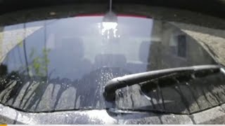 Leaving pollen on your car can cause permanent paint damage