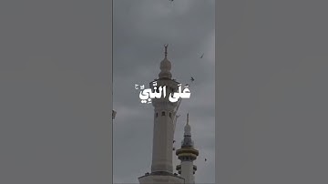 ان الله و ملائكته يصلون على النبي #القرآن_الكريم #يوم_الجمعة #علي_جابر #سورة_الأحزاب #اكسبلور #لايك