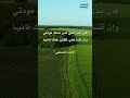 وعين الرضا عن كل عيب كليلة الإمام الشافعي 