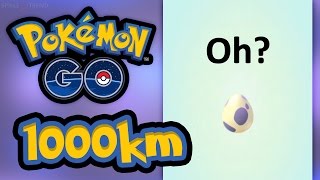 1000 Kilometer und 10 Kilometer Eier öffnen | Pokémon GO Deutsch #101