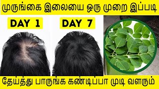 முருங்கை இலையை ஒரு முறை இப்படி தேய்த்து பாருங்க கண்டிப்பா முடி வளரும் |Moringa for hair growth