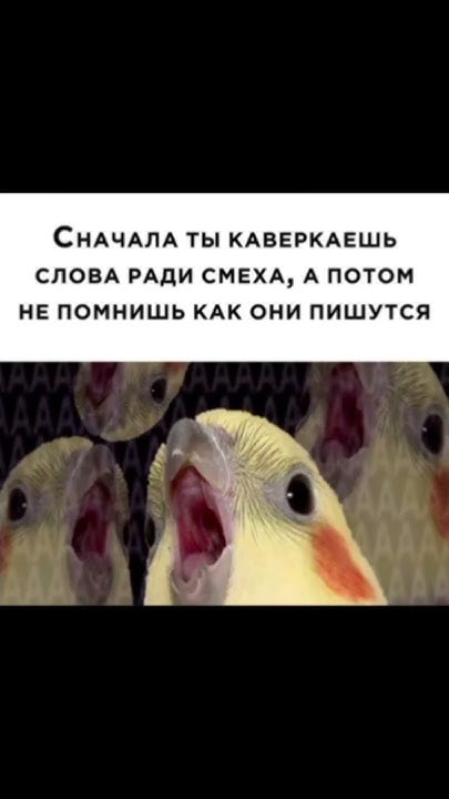 Мем Хогвартс# meme# смешно# смешныевидео# memesvideo# - YouTube