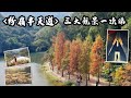 [粉嶺半天遊]三大靚景一次睇 | 港版天空之鏡 | 魔幻森林 | 超高大芒草田 | 打卡人氣印度廟