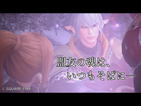 【 #FF14 】若葉さんが行く！ガンブレイカーへの道～蒼天のイシュガルド編～ －１６－【 #VTuber ・ #ヤクモガタリ 】