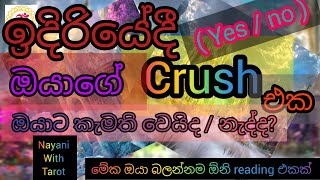 ඉදිරියේදී  ඔයාගේ #crush එක ඔයාට කැමති වෙයිද?/නැද්ද?|#love |#crush |#tarot reading sinhala