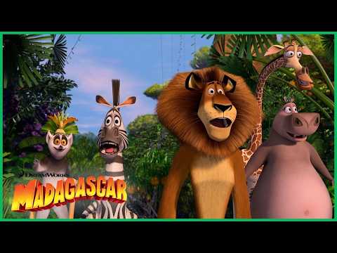Destino: Madagascar! 🌴🌅 | DreamWorks Madagascar em Português