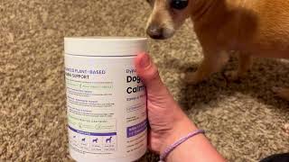 My Overview of the Elypuff Calming Chews for Dogs
