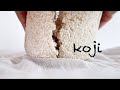 How to make Koji  米麴の作りかた（ヨーグルトメーカー）