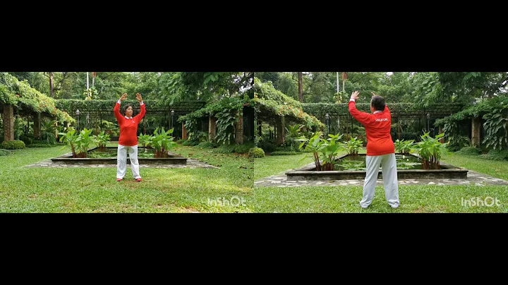 ALICE HO:Qigong ShiBaShi (5th set)