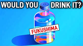 Is Fukushima's Water Dump as Bad as We Fear?