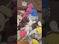 Creatives Craft Fair #crochet #amigurumi #marketday