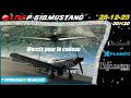  replay xplane 12  p51d mustang by skunkcrafts