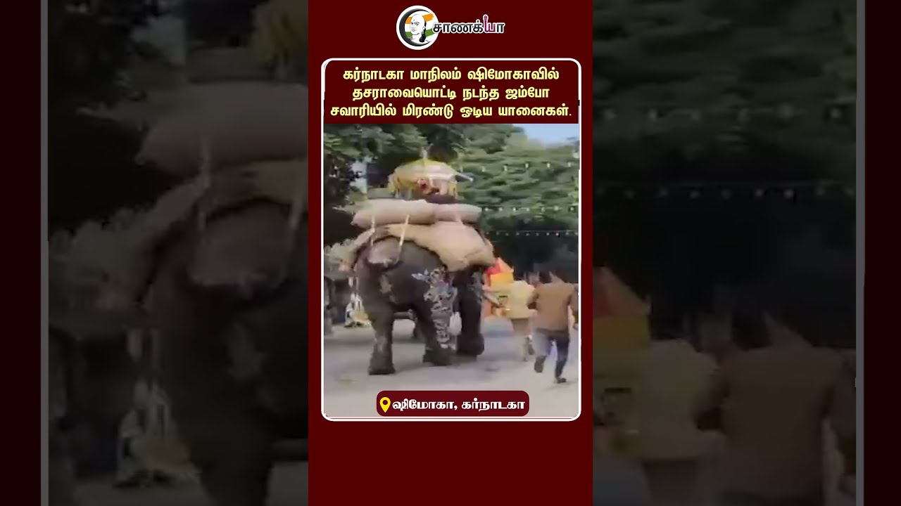 ⁣மிரண்டு ஓடிய யானைகள் | Karnataka | Dhasara Celebration | Karnataka Govt