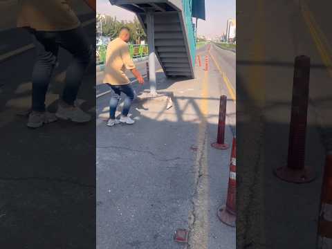 غریب گیری کبوتر در خیابان ببینید جالبه