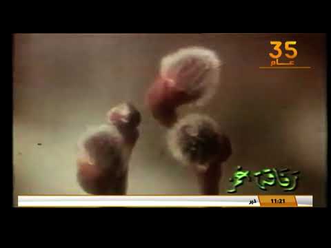 النجع لولا الماء ما كان كائن حي