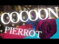 COCOON / PIERROT ギター弾いてみた