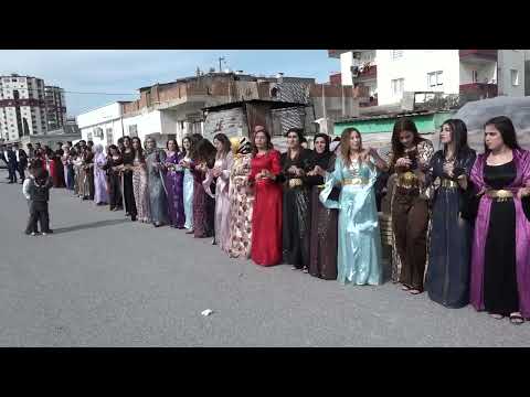 Aslan ailesinin düğünü - Mersin/Tarsus - Kurdish Wedding Aras Production [ 2023 © ]