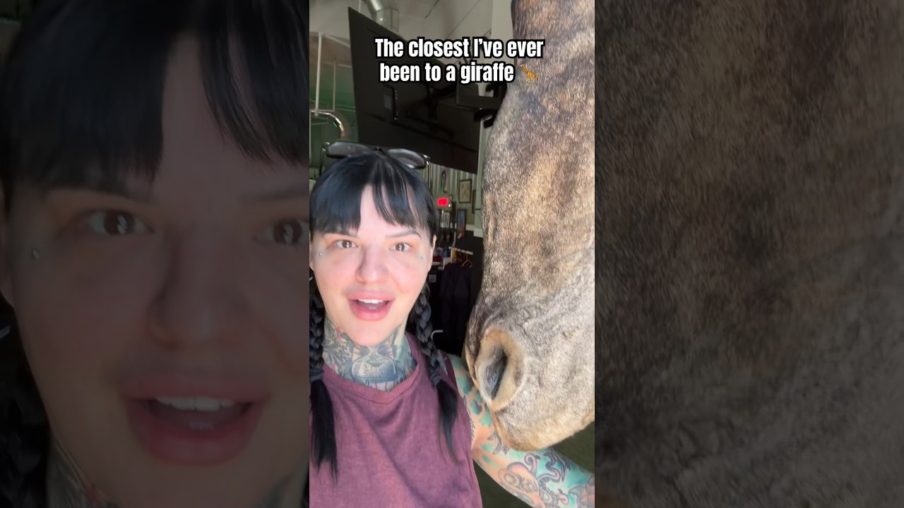 Isn’t this thing wild? 😱 #shortsfeed #shortsvideo