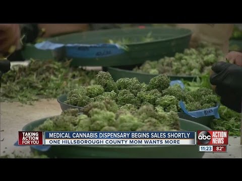 First medical cannabis dispensary in Florida receives Authorization to Dispense