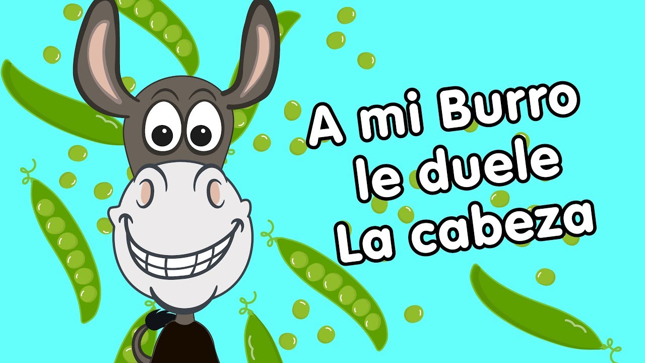 le duele la cabeza al burro