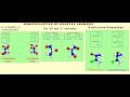 Nomenclature of Optical Isomers