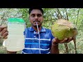 இளநீரில் கள்ளு தயாரிப்பது எப்படி?Instant Coconut Toddy Making at Home|Village Food Safari|Suppu