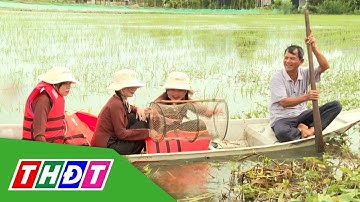 Làm du lịch sinh thái mùa nước nổi | THDT