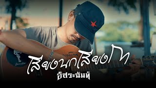 เสียงนกเสียงกา | อิสระฉันท์「Official MV」 screenshot 1