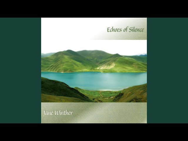 Echoes of Silence