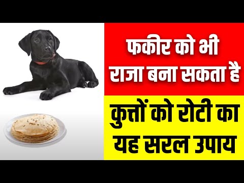 #Astrologer_Ankit_Tyyagi काले कुत्ते को रोटी खिलाने के फायदे | फकीर को भी राजा बना सकता है !