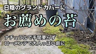 【日陰の庭/グランドカバーにお薦めの苔】シェードガーデン/おすすめのグランドカバー