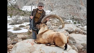 BEZOAR IBEX HUNTING  TURKISH FRONTIER - ÖZHAN ARSLAN