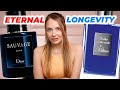 Ten 1010 long lasting fragrances for men