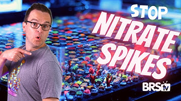 5 Ways to Lower Reef Tank Nitrates SAFELY and EFFECTIVELY!