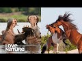 Epic Battles for Dominance | Hippos, Wild Horses | Love Nature