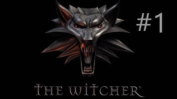 Which Witcher?! || [DRUNK] The Witcher #1