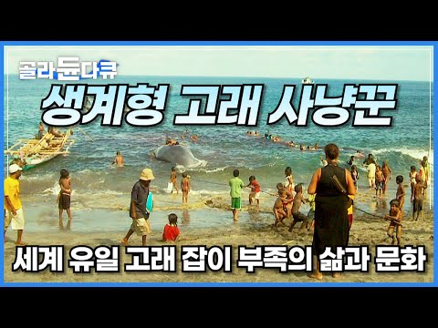 고래 사냥이 합법화된 지구상 유일한 원시 부족의 생생한 삶의 현장 전설의 작살 고래 사냥꾼 생계형 고래잡이 부족 라마레라 인도네시아 여행 세계테마기행 골라듄다큐