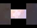 كلود و ديانا معقول انساك ياما قالوا الهوى غلاب      تصميمي 