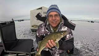Lake Link Poygan Ice Report Fishing