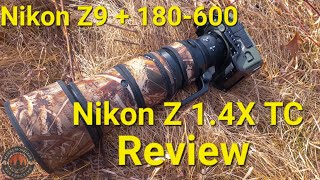 Is a Teleconverter Worth It? Nikon 180-600 & 1.4x TC