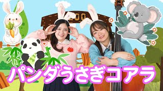 ぱちぱちーず/どうよう】『パンダうさぎコアラ』 - YouTube