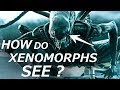 How Can Xenomorphs See ? Sensory Organs Explained