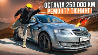 видео: SKODA OCTAVIA A7 250 000 км тюнинг вместо ремонта! картинка: SKODA OCTAVIA A7 250 000 км тюнинг вместо ремонта!