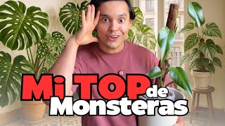 Definitive ranking of Monsteras: the only one that IS worth it (and the one I would never buy again)