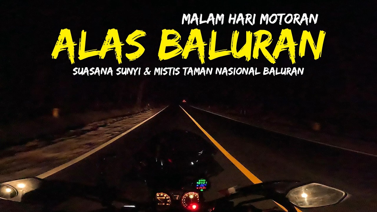 Motoran Malam Hari di Alas Baluran 🌙 Suasana Sunyi & Mistis Taman Nasional Baluran
