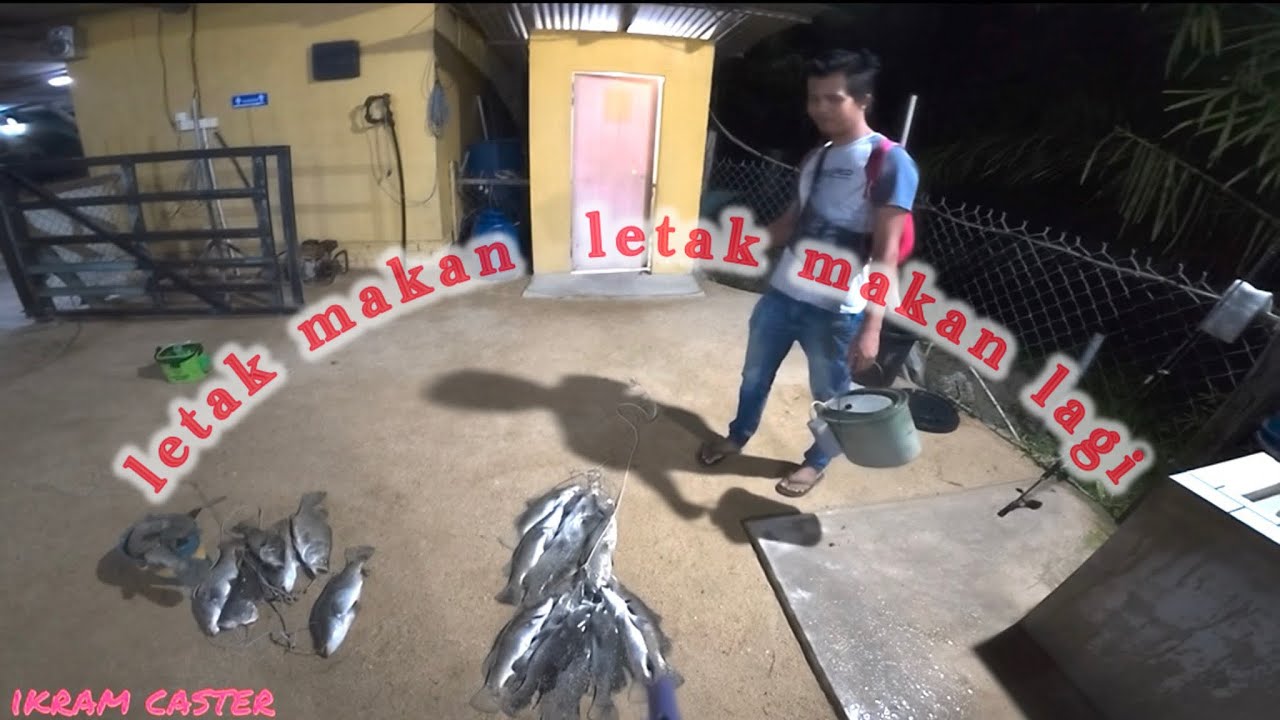 Letak Makan❗️Letak makan ❗️Ini Baru Betul Kolam Pancing