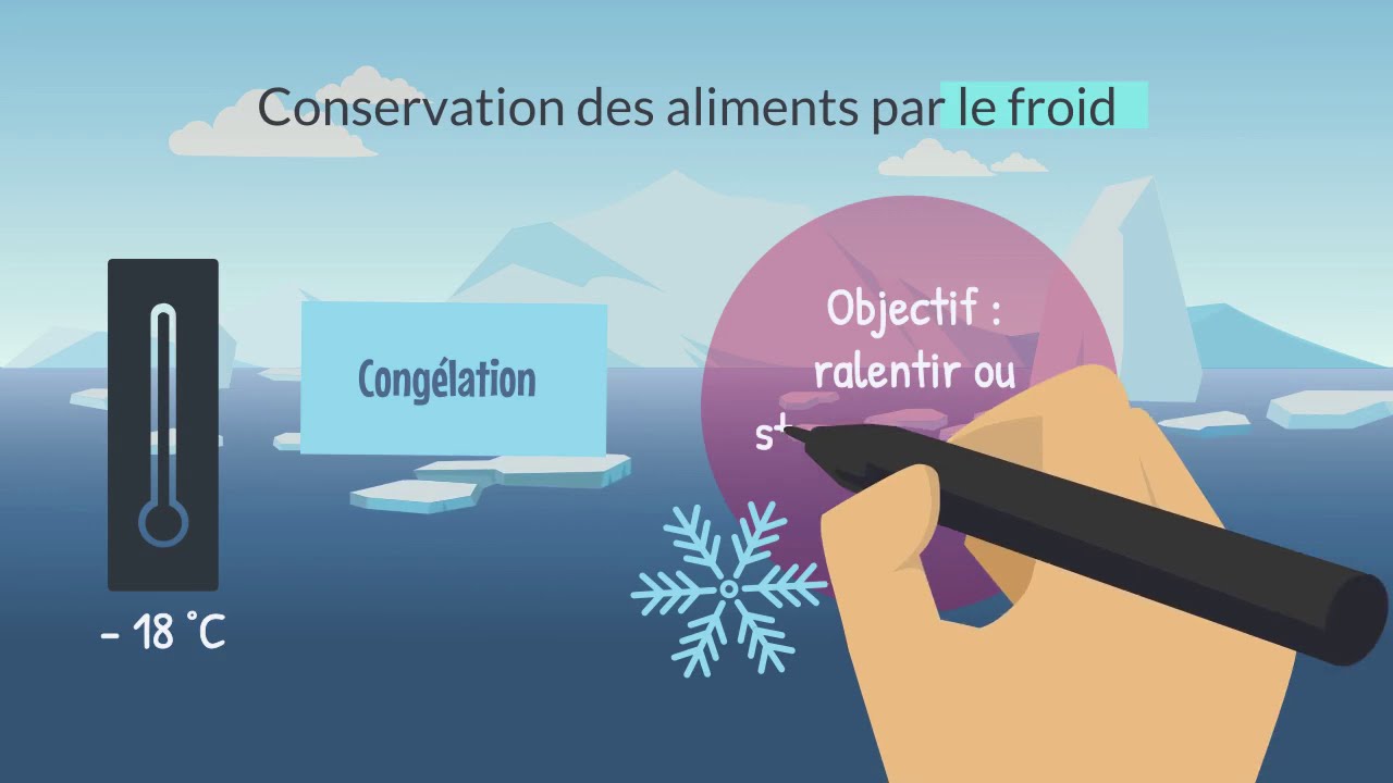 Techniques de conservation des aliments 