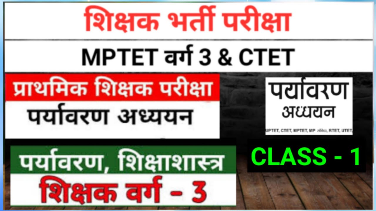 Class 1। पर्यावरण । EVS । ENVIRONMENT। MPTET & CTET EXAM । वर्ग 3 स्पेशल। MPPSC